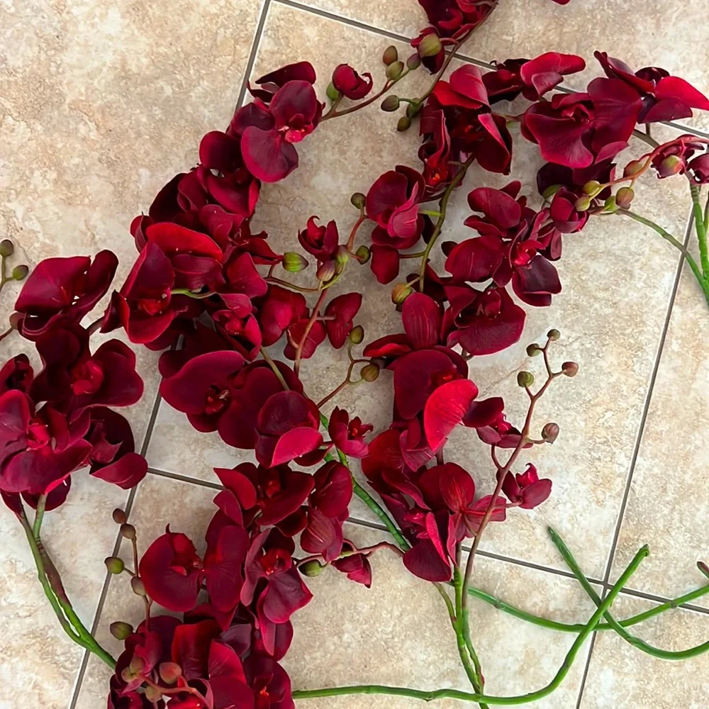 Zgallerie orchids (2 sets of 3)